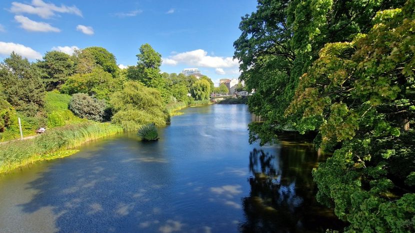  - 2025 Gradina Planten un blomen