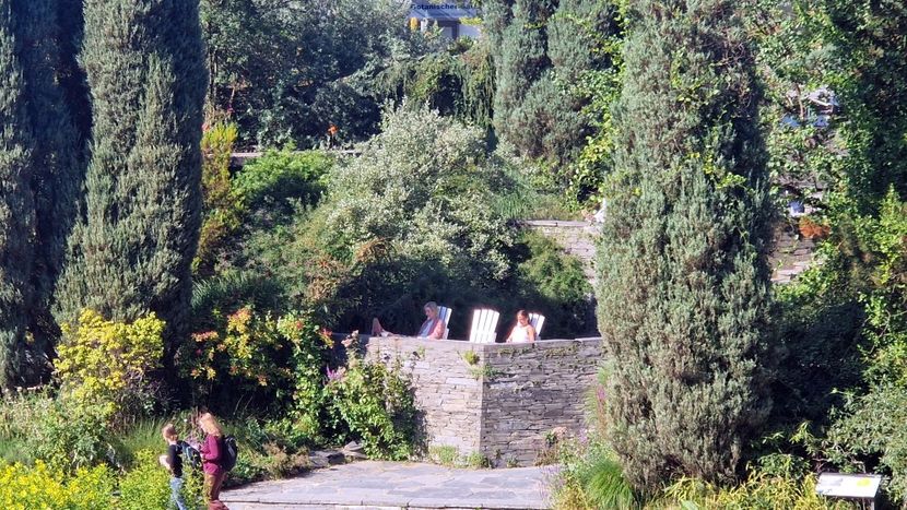  - 2025 Gradina Planten un blomen