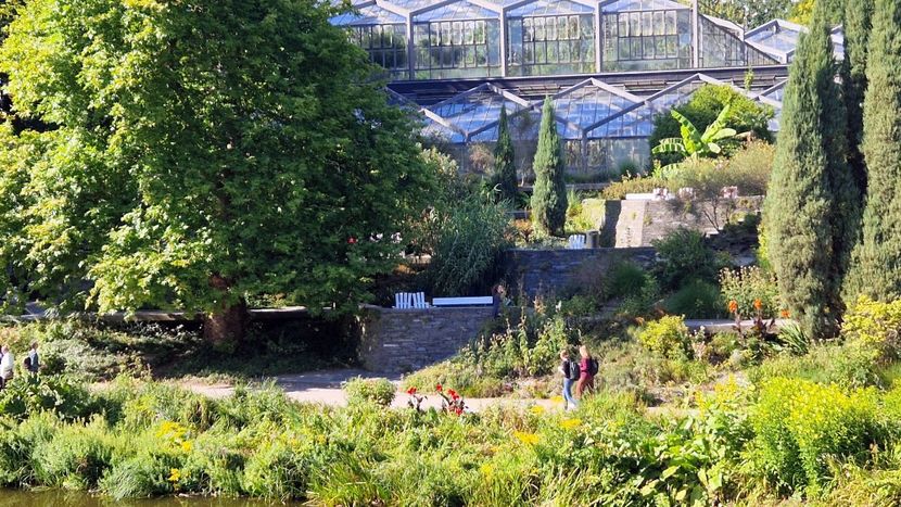  - 2025 Gradina Planten un blomen