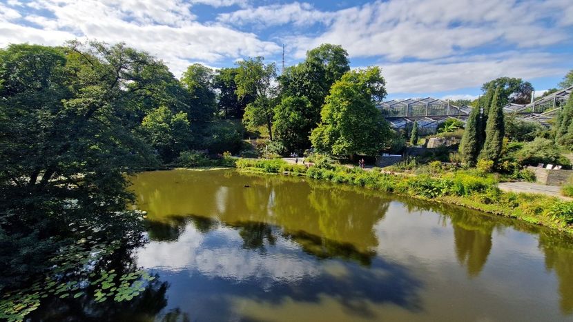  - 2025 Gradina Planten un blomen