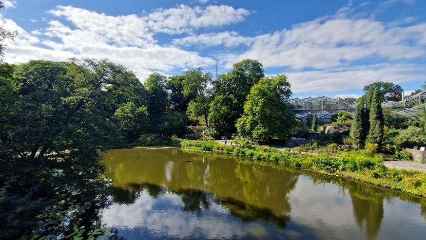  - 2025 Gradina Planten un blomen