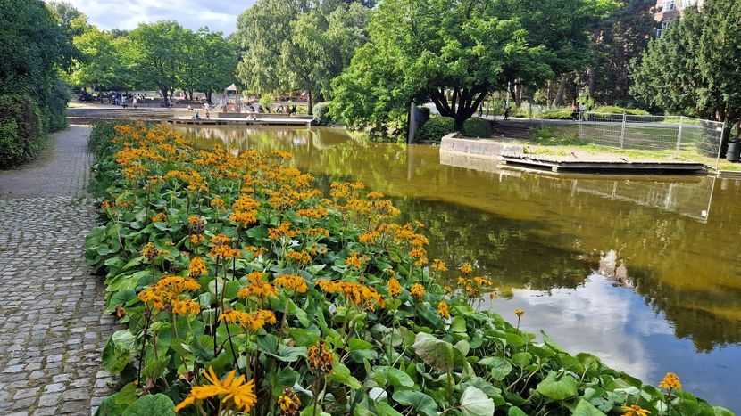  - 2025 Gradina Planten un blomen