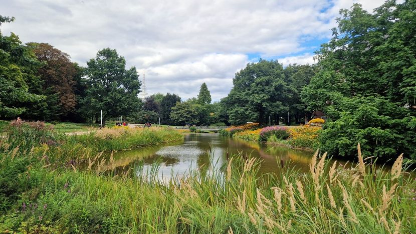  - 2025 Gradina Planten un blomen