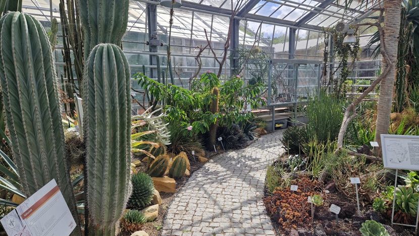  - 2025 Gradina botanica din Potsdam