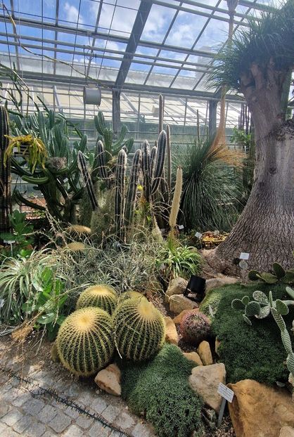  - 2025 Gradina botanica din Potsdam