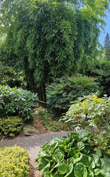  - 2025 Gradina botanica din Potsdam