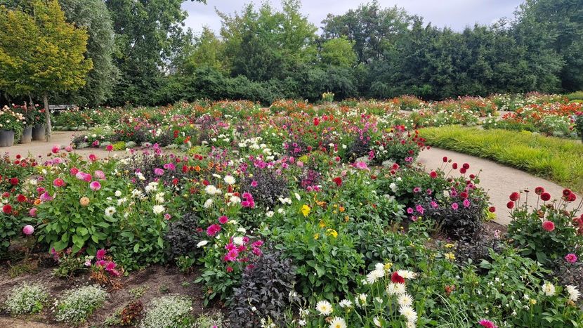  - 2025 Garten der welt - Berlin