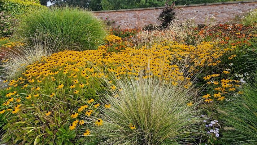  - 2025 Garten der welt - Berlin