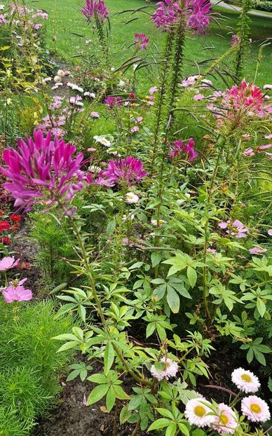  - 2025 Garten der welt - Berlin