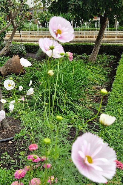  - 2025 Garten der welt - Berlin