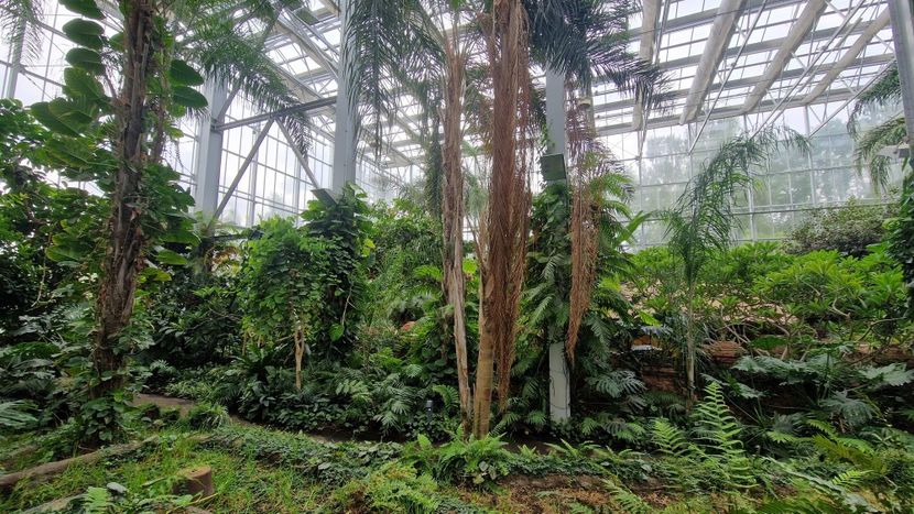  - 2025 Garten der welt - Berlin