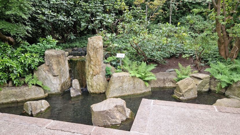  - 2025 Garten der welt - Berlin