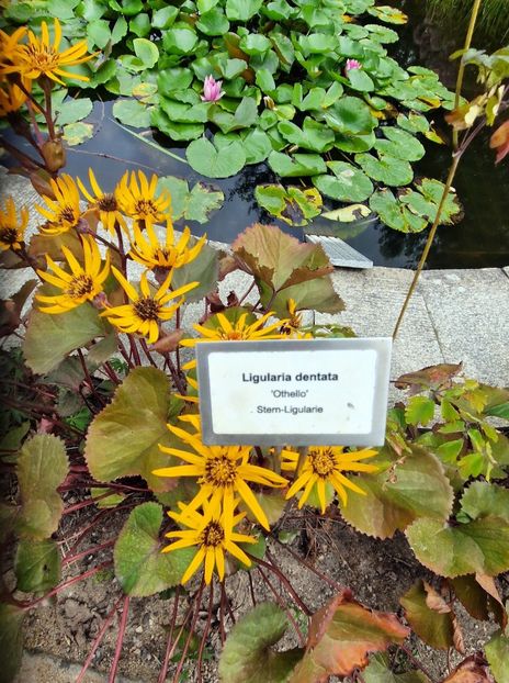  - 2025 Garten der welt - Berlin