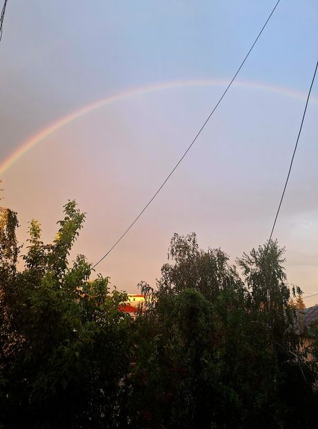 Ultima zi dintr-o vara minunata - zz Un colt de cer