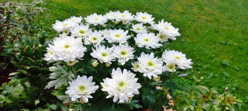  - 2025 - 03 - Toamna