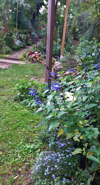  - 2025 - 03 - Toamna