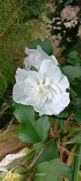  - 2025 - 03 - Toamna