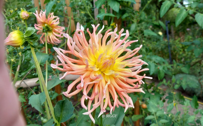  - 2025 - 03 - Toamna