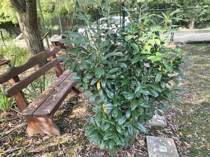 IMG20250904104046 - Toamna 2025