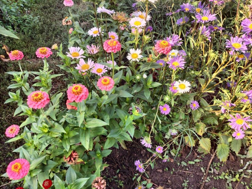 IMG20250904103624 - Toamna anului 2025