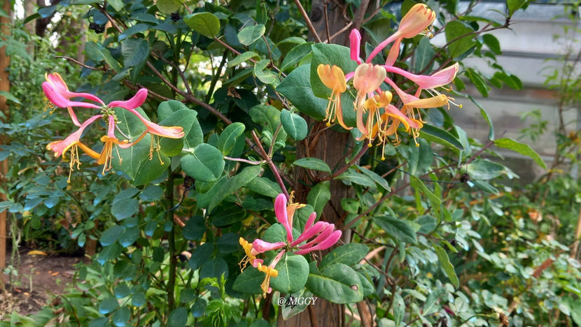  - 2025 - 03 - Toamna