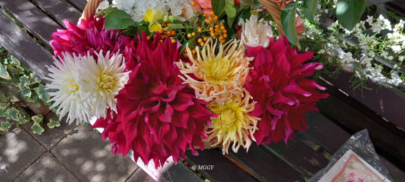  - 2025 - 03 - Toamna