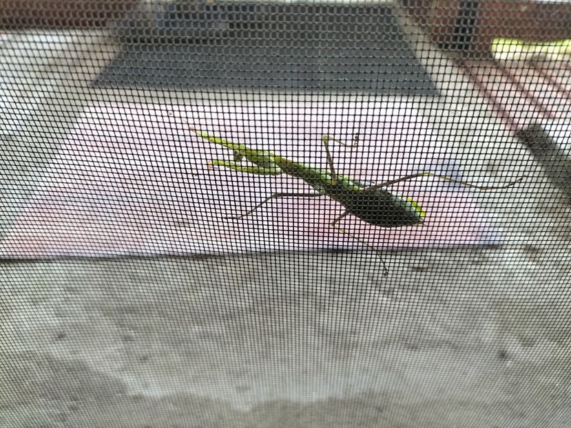 IMG20250906164452 - Toamna anului 2025