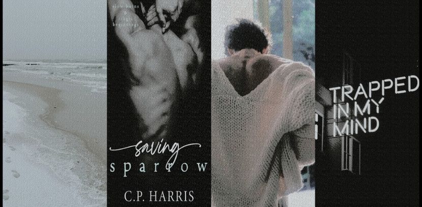 ˓❛Saving Sparrow❜˒　[5✭]　ᵇʸقC̣P̣♥Ḥạṛṛịṣ. - Dripping Silhouettes