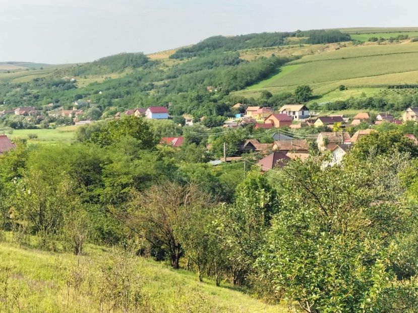 2fd3459b-7da0-4b9a-818a-f4e792efe1e9 - Toamna anului 2025