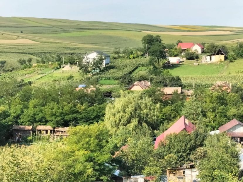 3c970785-ccd5-4a62-8399-208b89108b75 - Toamna anului 2025