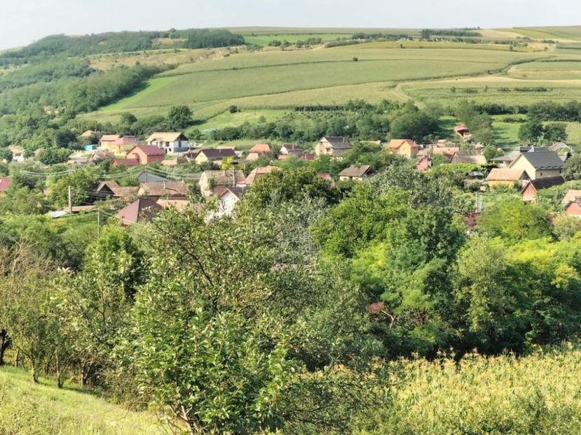 4b891c45-8d36-4c55-8ffe-0358a6ee5460 - Toamna anului 2025