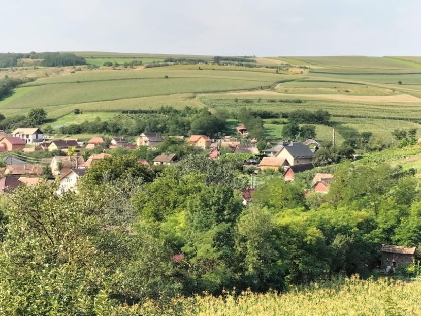 7fe99548-8d9c-45d9-a213-0e019a7d025b - Toamna anului 2025