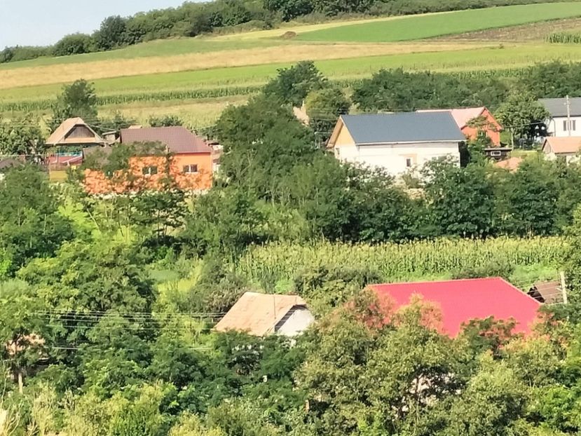 9ac032bf-ab52-4d24-ad08-30d7bc5f1586 - Toamna anului 2025