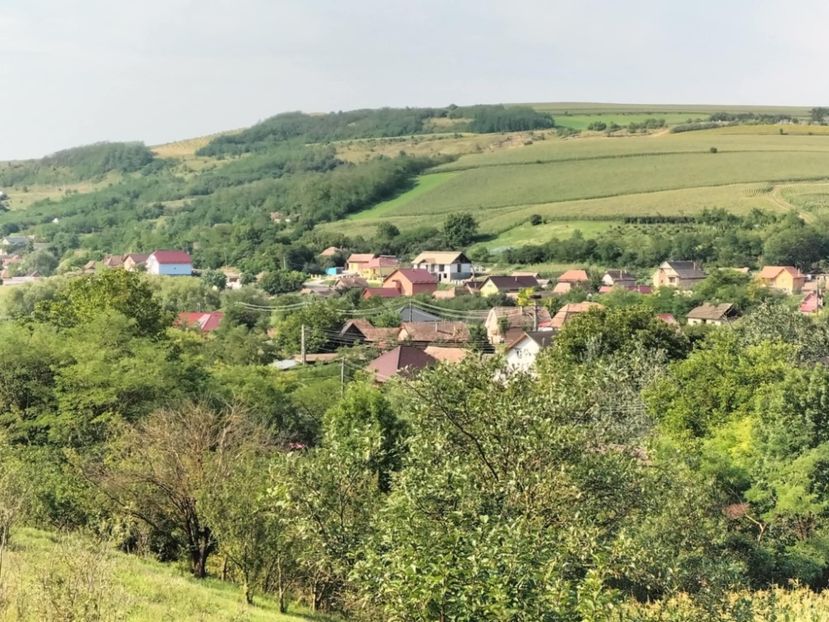 367cb3b4-4fce-4c57-8060-c6d4913cd200 - Toamna anului 2025