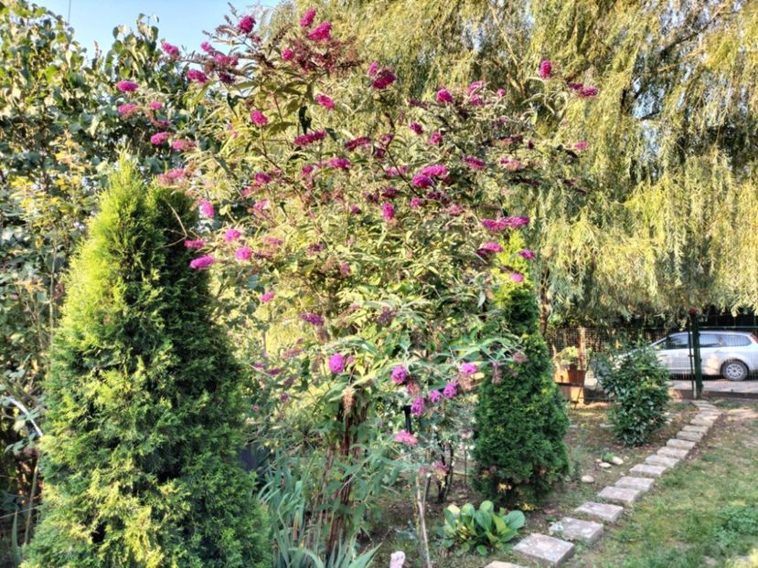 481b3131-0487-476c-b0a4-212e7e93c4f8 - Toamna anului 2025