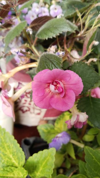  - 2025-BriD s Sarah Gritzan