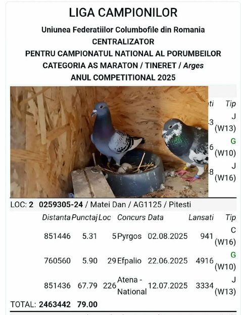 Daniela loc 2 As Maraton și loc 2 Maraton tineret Jud 2025 ruta Grecia - Vochin George Meula