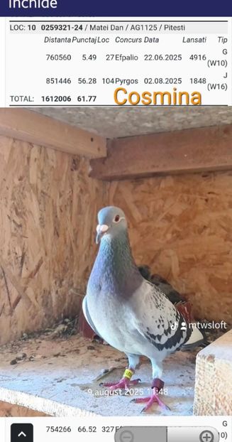 Cosmina Loc 10 Maraton tineret Jud 2025 ruta Grecia - Rezultate