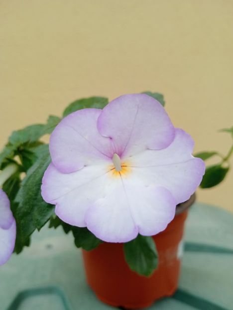  - BriDs Jose T Bonfim