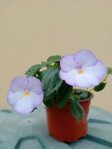  - BriDs Jose T Bonfim