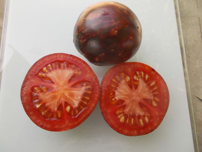  - SEMINTE ROSII - T 1139 BLUE ORCHID