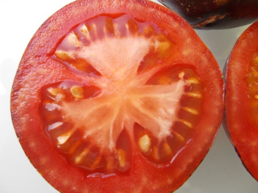  - SEMINTE ROSII - T 1139 BLUE ORCHID