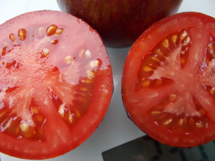  - SEMINTE ROSII - T 1139 BLUE ORCHID