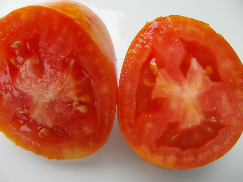  - SEMINTE ROSII - T 1138 SOLVEIG