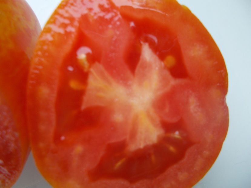  - SEMINTE ROSII - T 1138 SOLVEIG