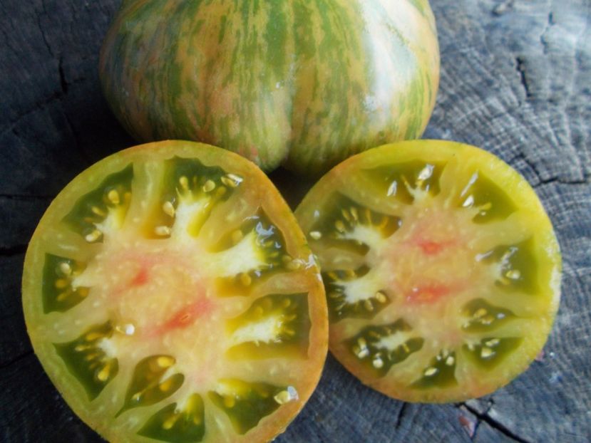  - SEMINTE ROSII - T 1117 GREEN ZEBRA PINEAPPLE