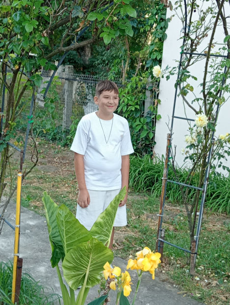  - Robert 2
