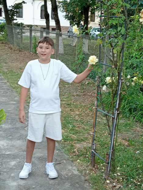  - Robert 2