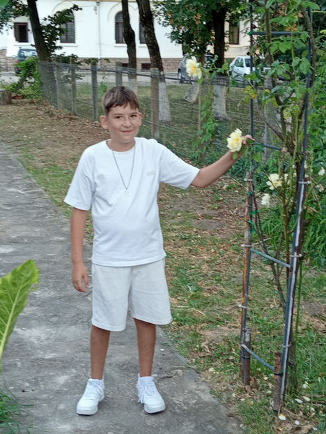  - Robert 2