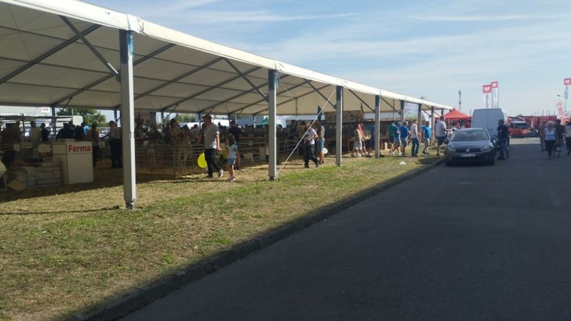  - 40- Expozitie Agromalim Arad 12-14 09 2025